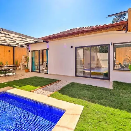 Vilă Private Pool,luxury,full Furnished-orange *