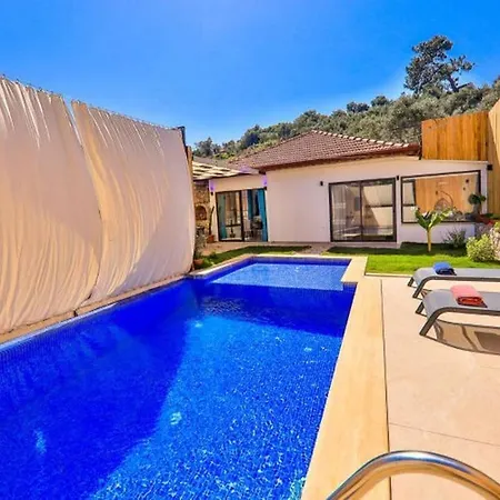 Private Pool,luxury,full Furnished-orange